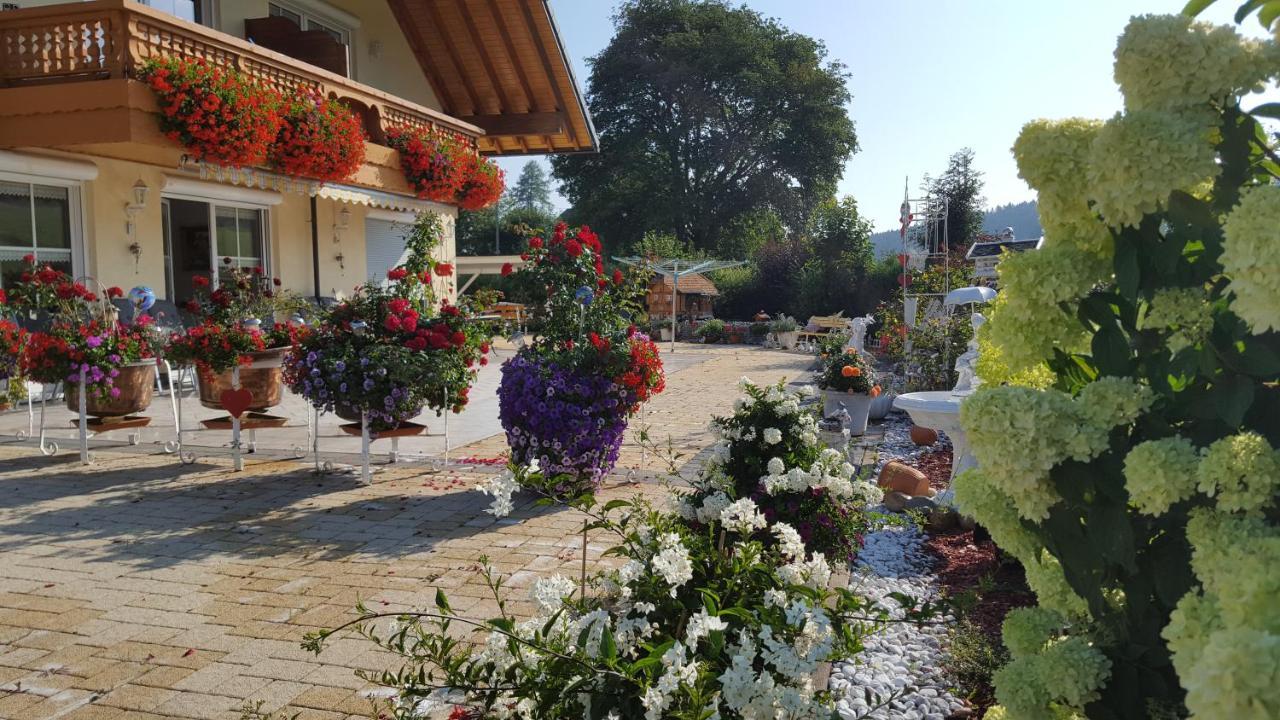 Appartement Rehblick Eisenbach  Eksteriør bilde