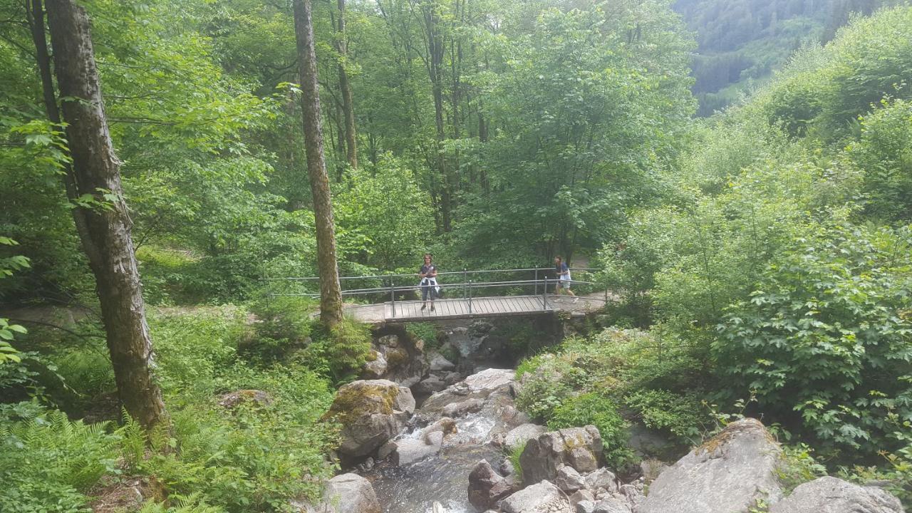 Appartement Rehblick Eisenbach  Eksteriør bilde