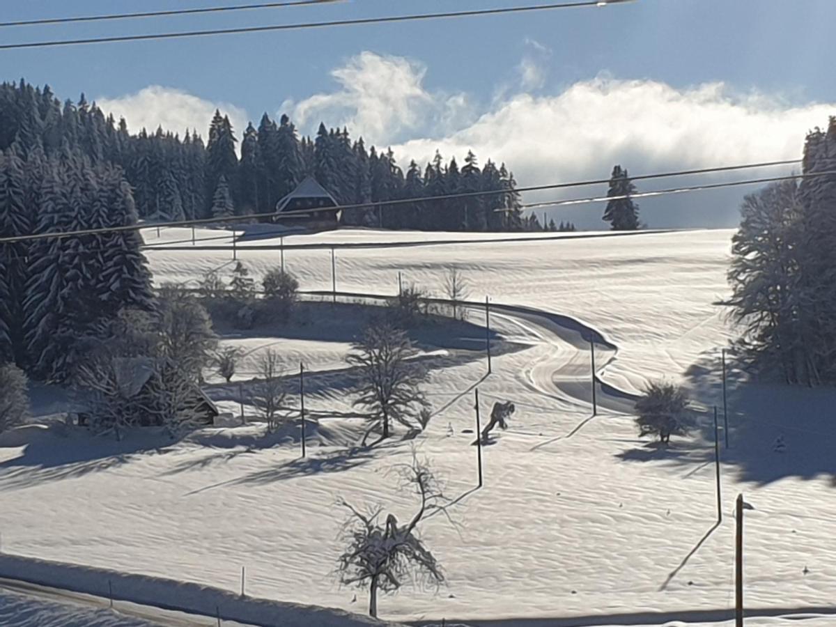 Appartement Rehblick Eisenbach  Eksteriør bilde