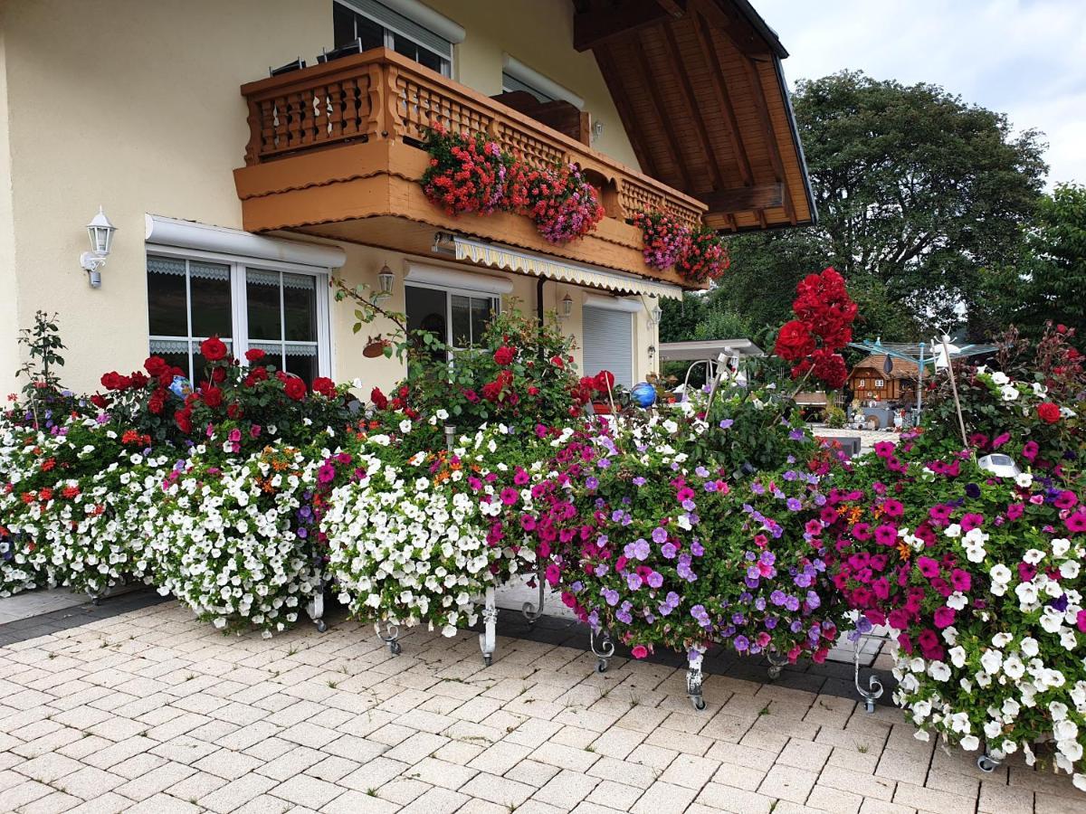 Appartement Rehblick Eisenbach  Eksteriør bilde