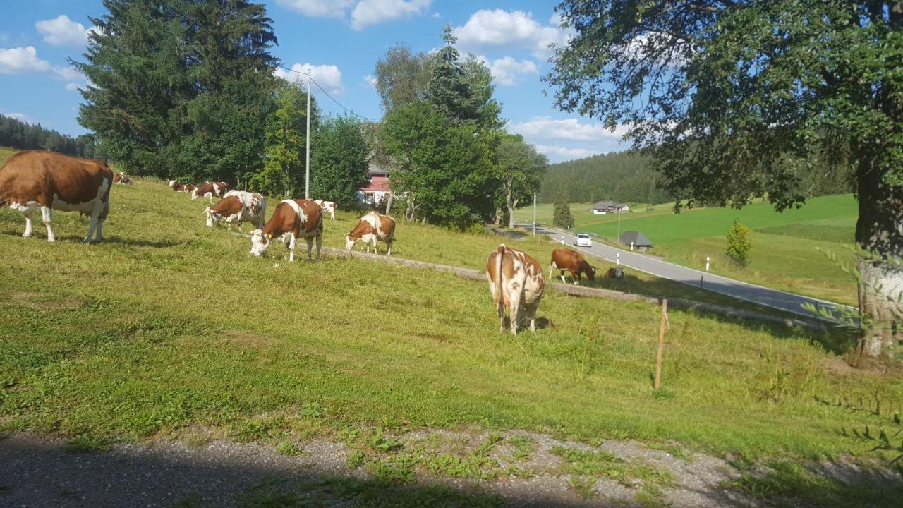 Appartement Rehblick Eisenbach  Eksteriør bilde