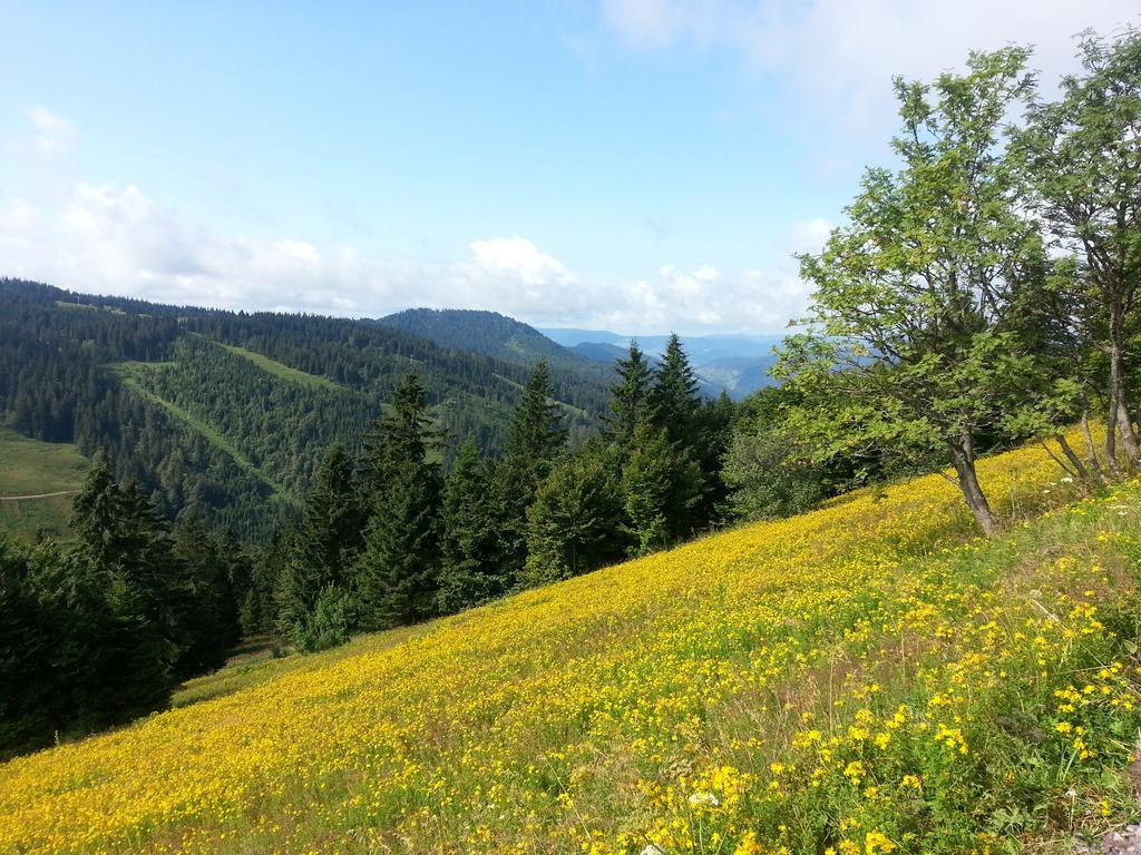 Appartement Rehblick Eisenbach  Rom bilde
