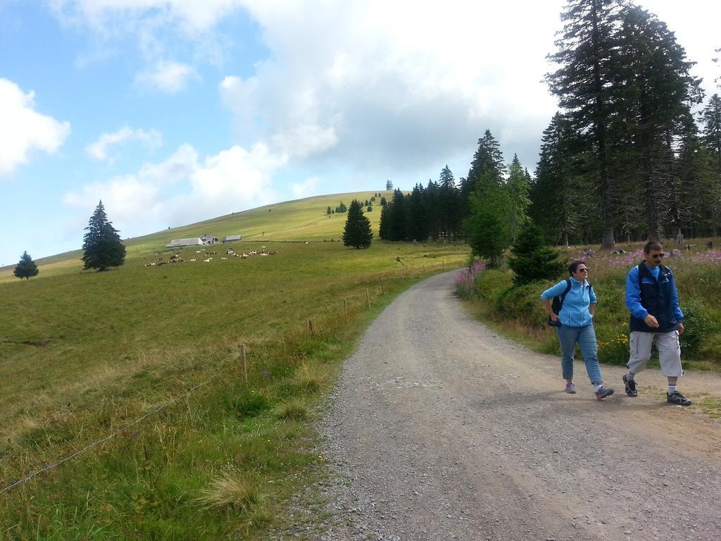 Appartement Rehblick Eisenbach  Rom bilde
