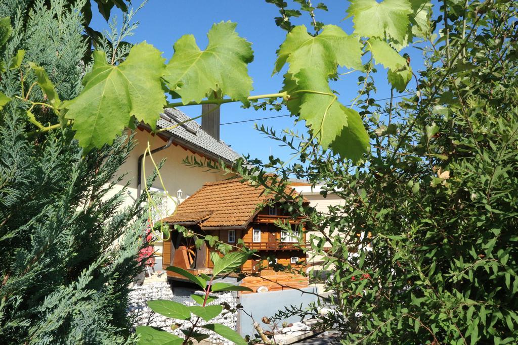 Appartement Rehblick Eisenbach  Eksteriør bilde