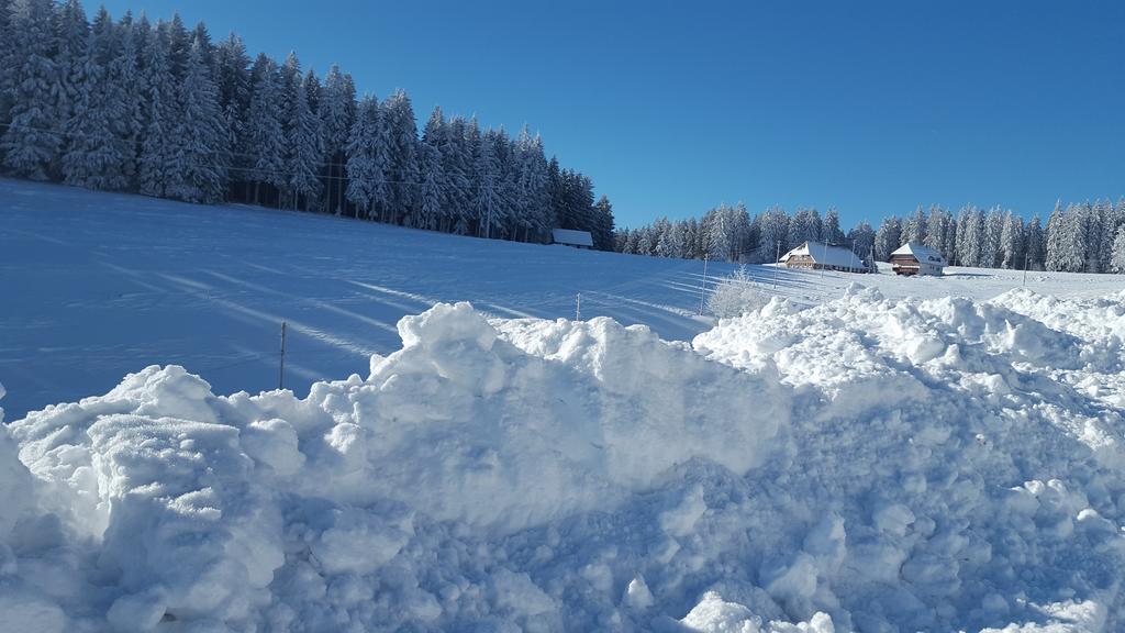 Appartement Rehblick Eisenbach  Eksteriør bilde