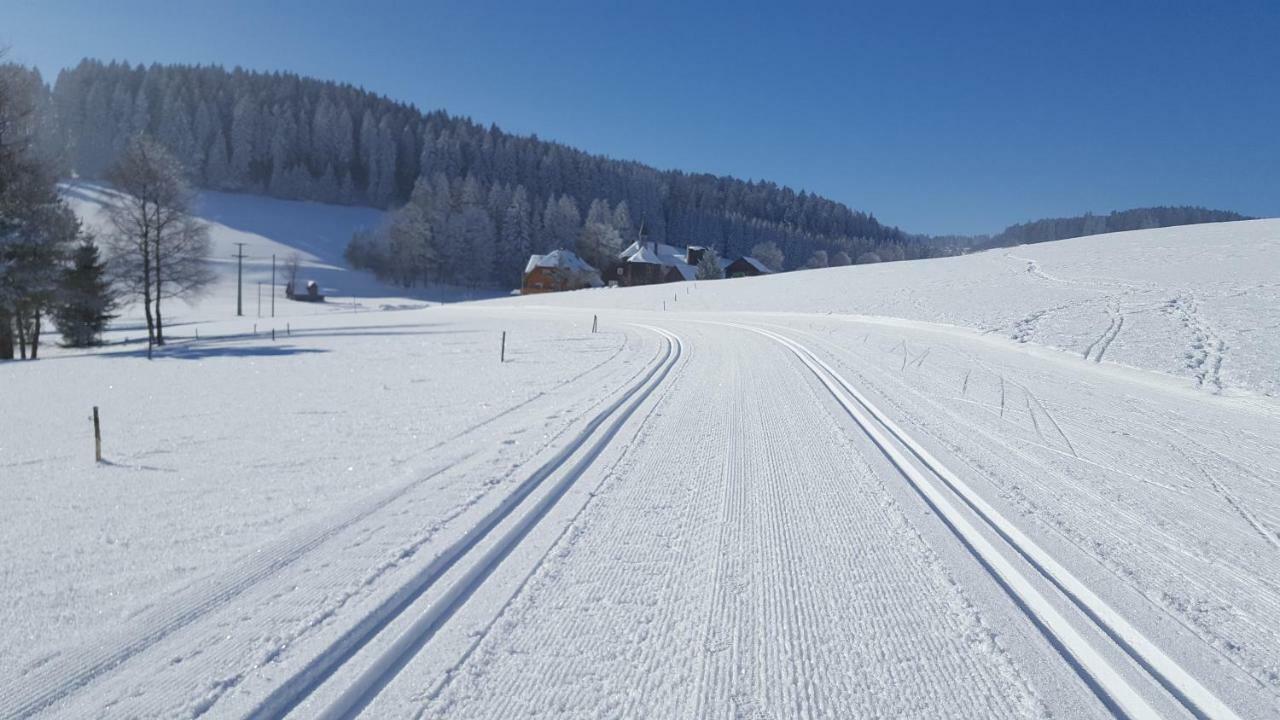 Appartement Rehblick Eisenbach  Eksteriør bilde